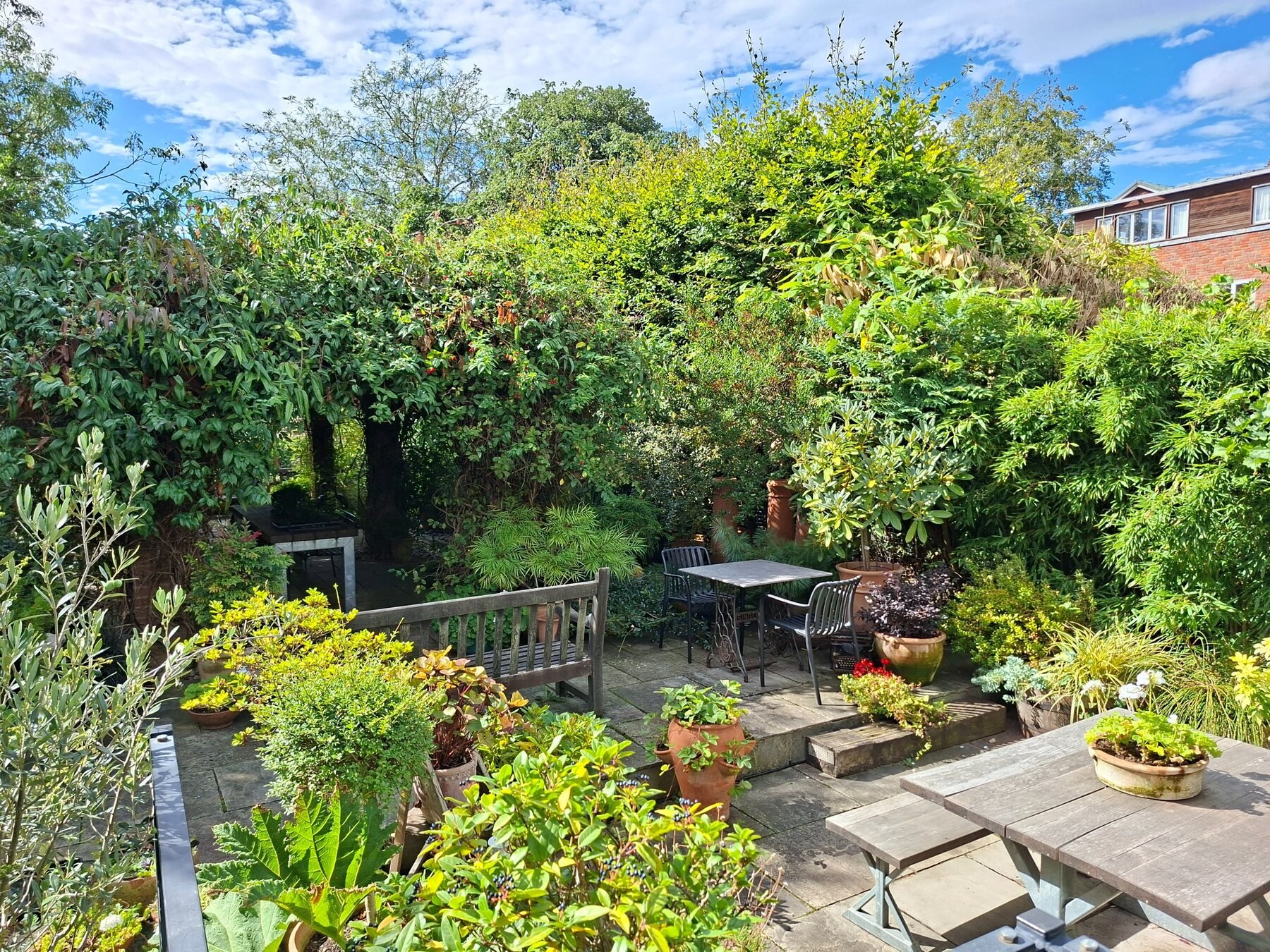 Wide view across the Havisham House garden