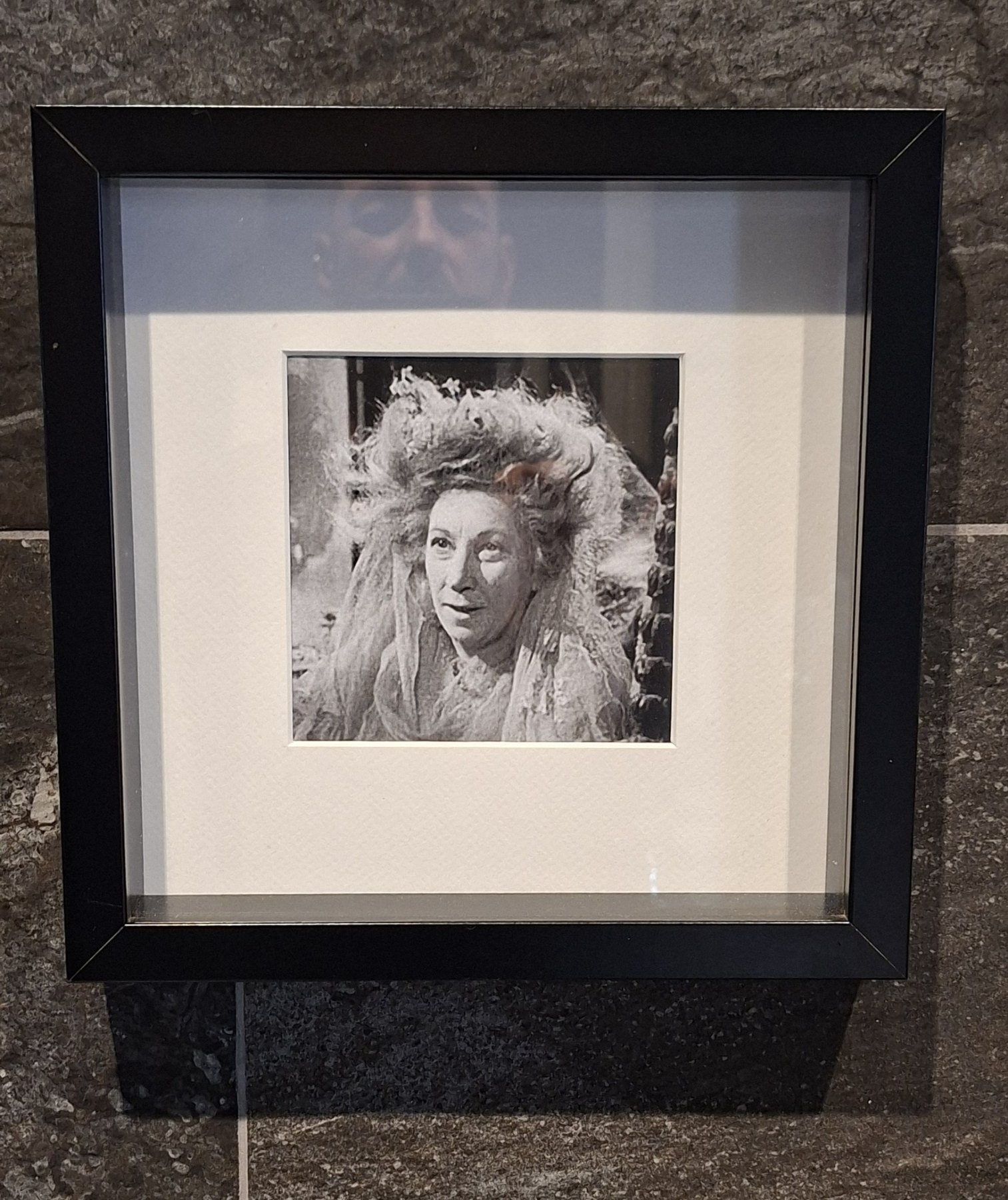 Framed portrait of Miss Havisham in the themed bathroom